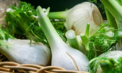 Les Jardins de Mondpa - Fenouil - 250g