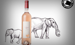 Boucherie Moderne - Vin rosé - Éléphant Rose