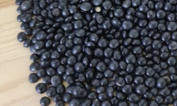 L'OLIVERAIE DU COUDON - LENTILLES BELUGA BIO – 500 G