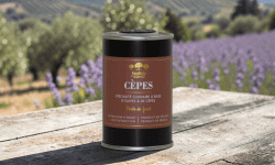 Moulin à huile Bastide du Laval - Huile D'olive Cèpes 15cl Bidon