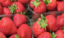 Ferme Joos - Fraises confiture 5kg