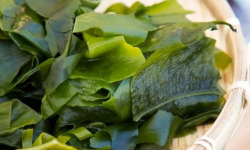 Saint Kerber - Cancale - Algues Haricots de mer 120g