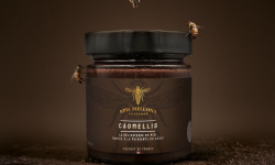 Apis Mellona - Miel au chocolat 150g, Caomellis