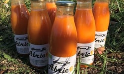 Délit de Gourmandise - Nectar d'abricots Bio - 6x75cl