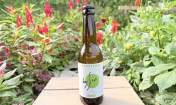 Nature et Saveurs - Ferme Aquaponique et Permacole Astérienne - Kombucha Menthe Bio Bysco - 33cl