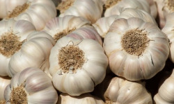 La Ferme de Milly - Anjou - Ail 1kg