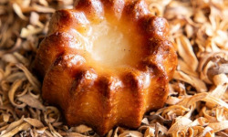 Canelés Louis SCHRAMM - Petits canelés Fleur d'oranger x1600