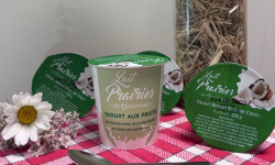 Lait Prairies du Boulonnais - Yaourt brassé Noix de coco - 4 x 125g