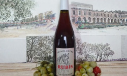 Cave Creuzet - Les Caves aux Caux - AOC Coteaux du Vendômois Rouge "Rubis Trotte Putain" 2024 - Lot de 6
