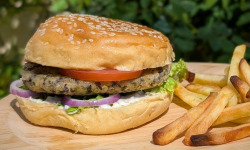 Les Saisissantes - Galettes de haricots blancs aux algues pour burgers - 80g x20