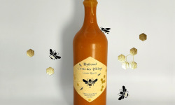 Maison Guichard - Hydromel "Cuvée des Vikings"