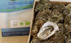 Huîtres Henry - 50 Huitres creuses BIO "La Belle de Quiberon" calibre 4 - 3kg