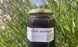 Des Poules et des Vignes à Bourgueil - Mûres sauvages