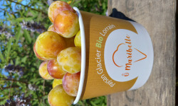 O Maribelle - Mirabelles IGP de Lorraine - BIO