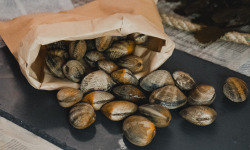 Thalassa Tradition - Palourdes Vivantes Grosses - 1kg