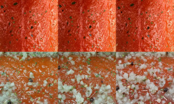 Lionel Durot - Gravlax de saumon Label Rouge collection automne hiver