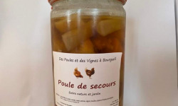 Des Poules et des Vignes à Bourgueil - Poule de Secours (4 personnes)