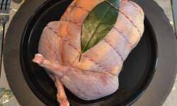 Terre de Gallie - "SPECIAL FETES" FAISAN FARCI FORESTIER