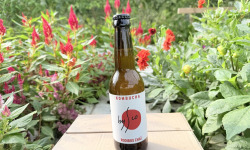 Nature et Saveurs - Ferme Aquaponique et Permacole Astérienne - Kombucha Rooibos Chaï Bio Bysco - 75cl
