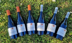 Château Balsamine - Lot “Éphémère” – Château Balsamine – 3 Rouges Braucol + 3 Rouges Malbec – 6x75cl