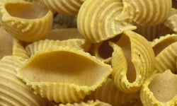 L'Atelier à Pâtes - Pâtes Conchiglie Rigate Au Curry De Madras Bio