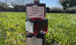 Myrtilles du Trimoulet - Lot de 3 liqueurs 200 mL: 1 de chaque parfum