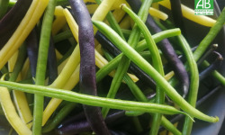 Ferme de Carcouet - Haricots Vert et Beurre Bio - 500 g