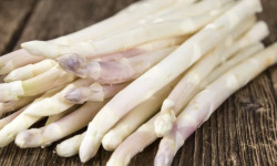 L'OLIVERAIE DU COUDON - ASPERGE VIOLETTE 450GR