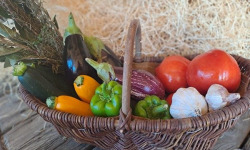 Les Jardins de Gérard - Panier ratatouille Bio - 6 personnes