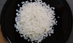 France-Konjac - Perles de konjac en vrac-Format restauration/ fabrication (Quantité minimum de commande: 25 kg)