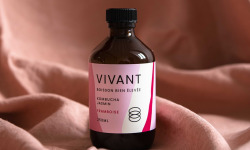 Vivant Kombucha - Kombucha Thé vert Jasmin Framboise Bio x12