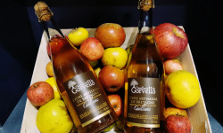 Distillerie du Gorvello - Cidre de Bretagne IGP  Cuvée Guillevic x6