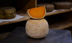 Alléosse Maitre Artisan Affineur Fromager - Mimolette vieille réserve 18/22 mois 500g
