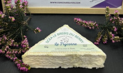 SCEA Brebis du Berry - Le trycorne