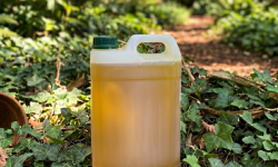 L'OLIVERAIE DU COUDON - Huile de tournesol vierge BIO bidon 5l