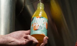 Brasserie L'Indispensable LOVEN Kombucha - Kombucha Clémentina - (Clémentine de Corse & Fève de Tonka) - 6x33cl