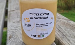 Le Châtaignier - Miel de fleurs de printemps crémeux- 1kg