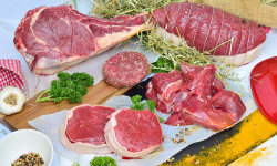 Dégustonfoin - [SURGELE] Colis Excellence de Boeuf Simmental BIO (Tournedos, Entrecôtes, Carpaccio, Faux-Filet...)