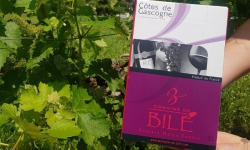 Domaine de Bilé - Fontaine à Vin BIB Rosé - Vin IGP Côtes de Gascogne - 5 Litres