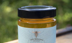 Apis Mellona - Miel Acacia 250g