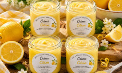 Gaec de l'Elanion - Crème Citron x4
