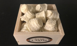 La Fromagerie Marie-Anne Cantin - Apéritif Des Amoureux Bouton De Culotte Truffe