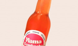 Mama Kombucha - Lot de Kombucha Byron Bay 12 X 33cl -Kombucha Framboise, Basilic