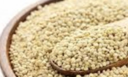 L’Oliveraie du Coudon - Quinoa blanc  sachet 300g