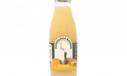 Olatu - Jus Pomme Kiwi BIO 75 cl