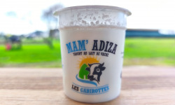 Mam'Adiza - Yaourt Coco x6