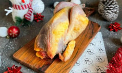 Maison Lascours - [Précommande] Pintade de Noël Fermière de Noël - 1,9kg