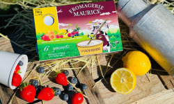 Fromagerie Maurice - 4 Packs de Yaourts brassé aux Fruits x6