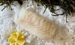 Brest Marée - Filet de cabillaud - 500g