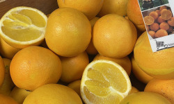 L’Echo Paysan - Orange Navel bio Sicile x2kg